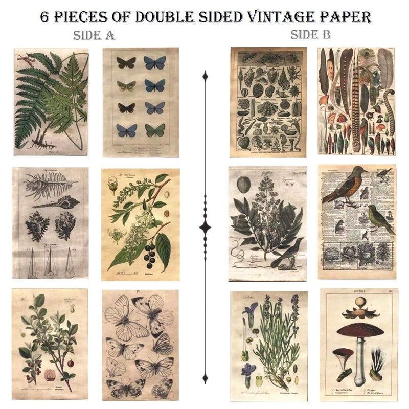 DESEACO Vintage Aesthetic Posters for Wall Decor, Green Botanical Art for Teen Girlsâ€™ Rooms, Cute Plant Journaling Supplies and Nature-Inspired Collage Kit - Image 3